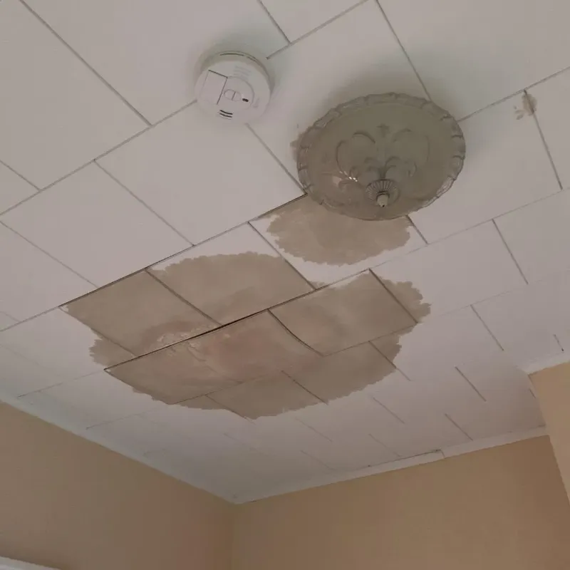 Ceiling Water Damage Repair in Basin, WY