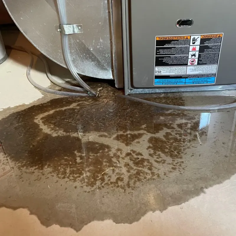 Pipe Burst and Leak Restoration in Basin, WY