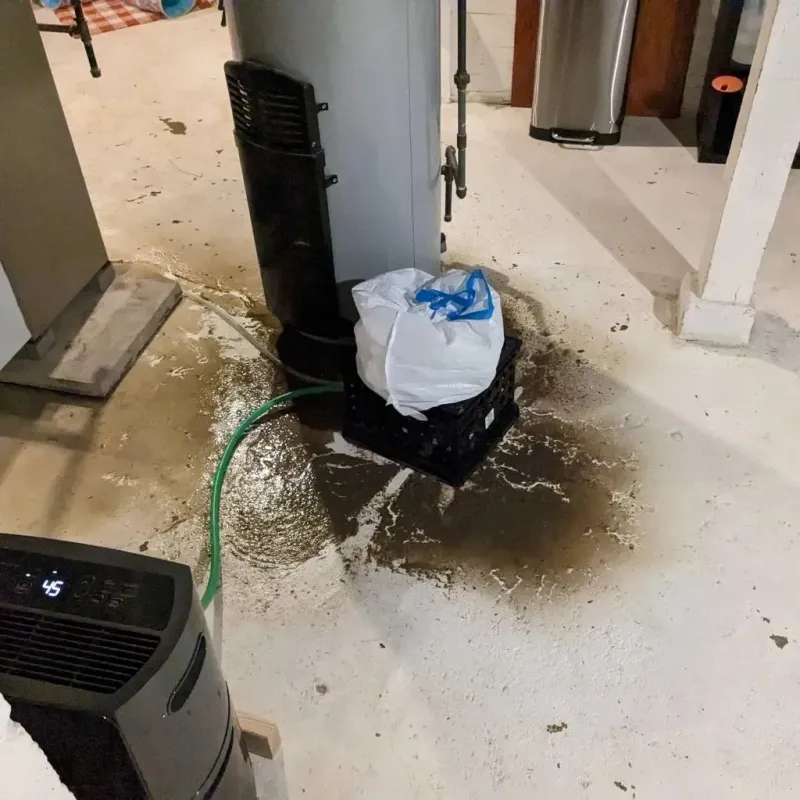 Sewage Backup Cleanup Service in Basin, WY